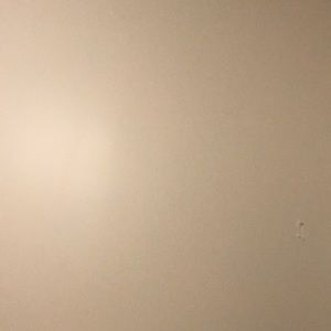 Meet your Posher, Ace